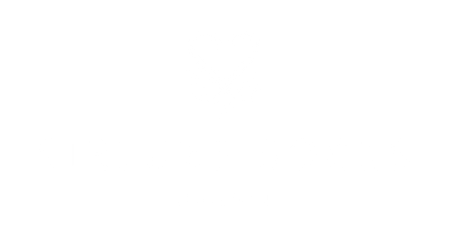 Sirluxe Socks